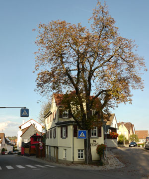 Bürgerstube Lamm