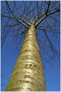 Foto: bwo 