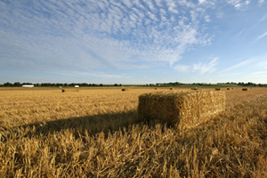 Foto: bwo 
