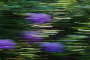  ICM 